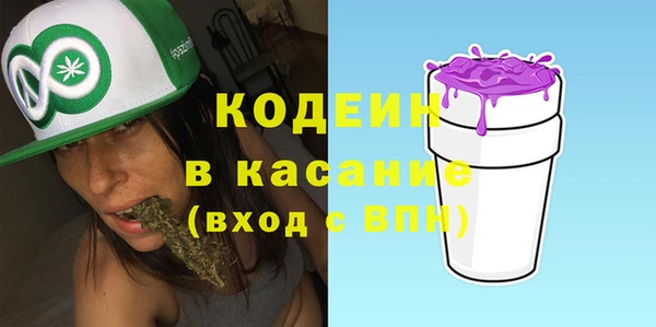 шишки Михайловск