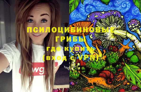 шишки Михайловск