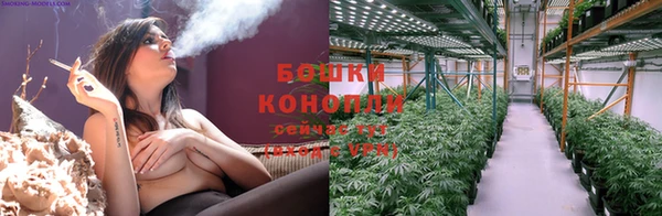 apvp Билибино