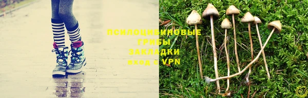 стаф Навашино