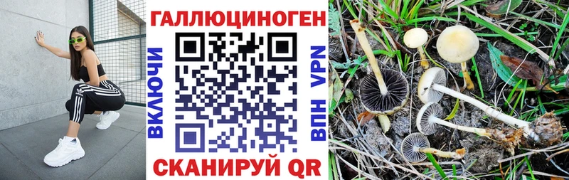 Псилоцибиновые грибы MAGIC MUSHROOMS  закладки  Нарткала 