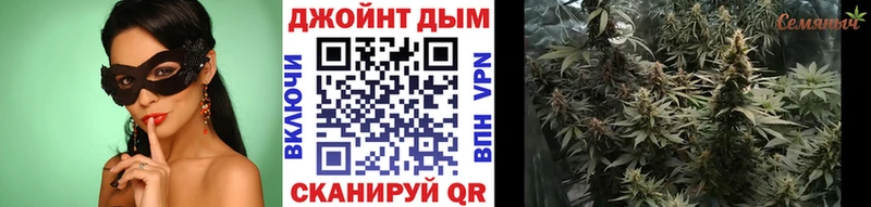 Бошки марихуана сатива  Нарткала 