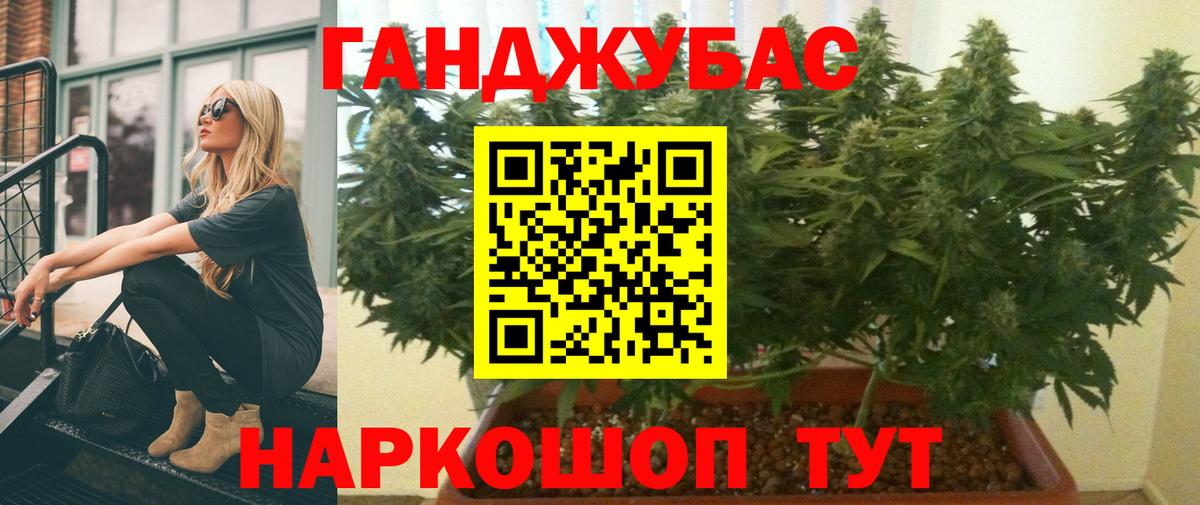 Конопля сатива Нарткала
